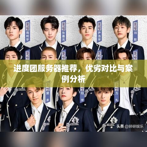进度团服务器推荐，优劣对比与案例分析