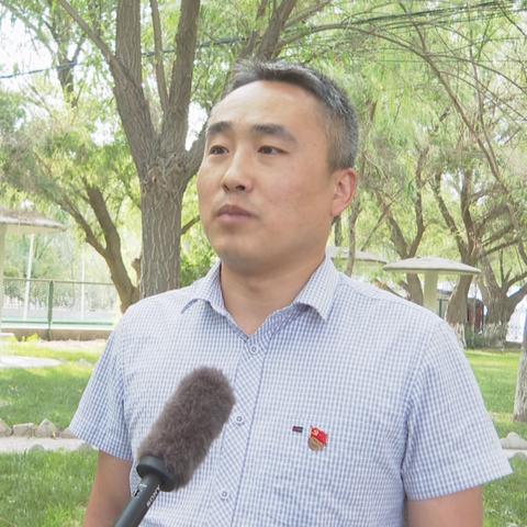 进度团服务器推荐，优劣对比与案例分析
