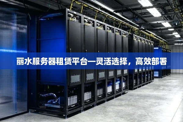 丽水服务器租赁平台—灵活选择，高效部署