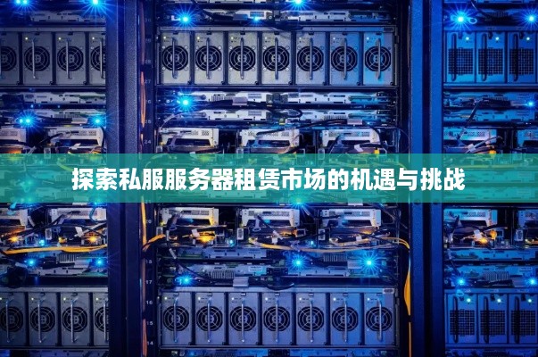 探索私服服务器租赁市场的机遇与挑战