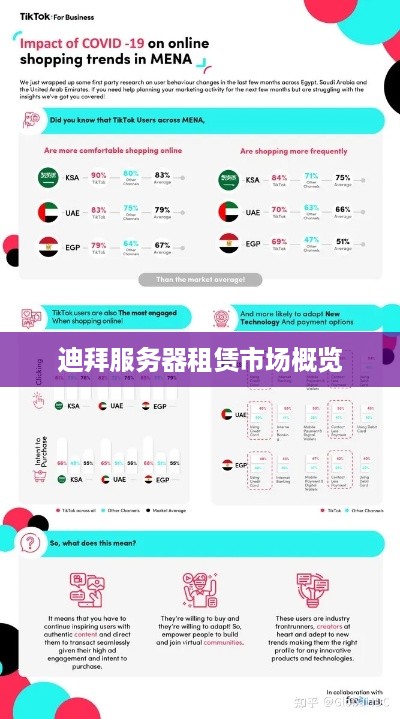 迪拜服务器租赁市场概览