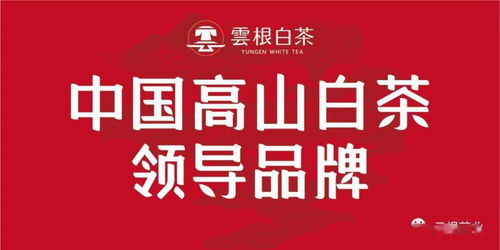 莆田茶叶品牌加盟电话一览，轻松开启创业之路！