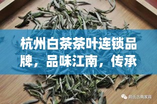 杭州白茶茶叶连锁品牌，品味江南，传承千年茶香