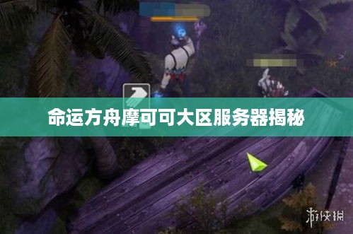 命运方舟摩可可大区服务器揭秘