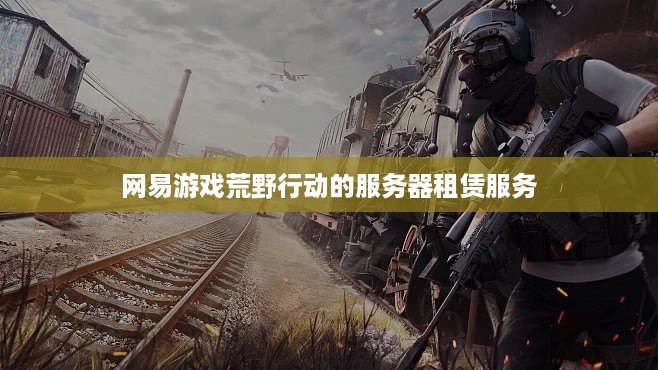 网易游戏荒野行动的服务器租赁服务
