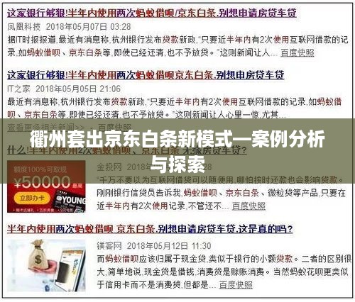 衢州套出京东白条新模式—案例分析与探索