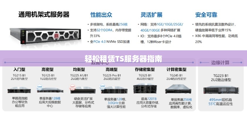 轻松租赁TS服务器指南