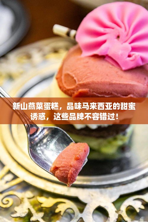 新山燕菜蛋糕，品味马来西亚的甜蜜诱惑，这些品牌不容错过！