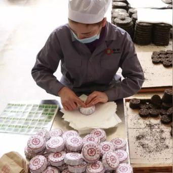茶叶品牌如何轻松申请专利，保护你的创新成果！