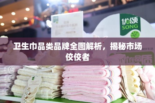 卫生巾品类品牌全图解析，揭秘市场佼佼者
