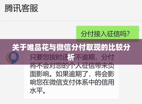 关于唯品花与微信分付取现的比较分析