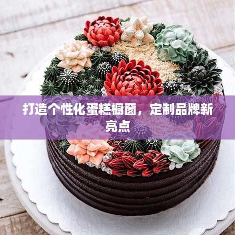 打造个性化蛋糕橱窗，定制品牌新亮点