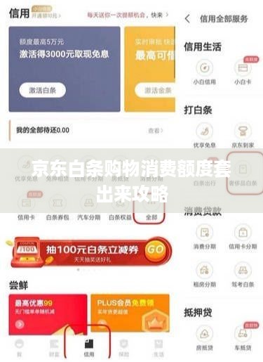 京东白条购物消费额度套出来攻略
