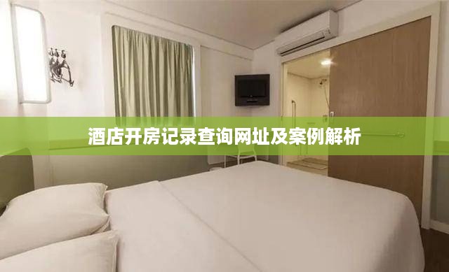 酒店开房记录查询网址及案例解析