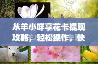 从羊小咩享花卡提现攻略,轻松操作,快速提现详解