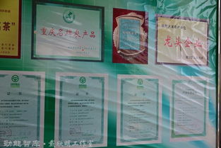 茶叶类品牌调研方案及案例分析