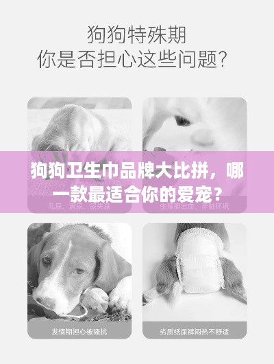 狗狗卫生巾品牌大比拼，哪一款最适合你的爱宠？