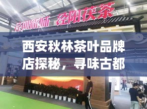 西安秋林茶叶品牌店探秘，寻味古都的茶香之旅