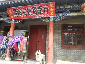 西安秋林茶叶品牌店探秘，寻味古都的茶香之旅