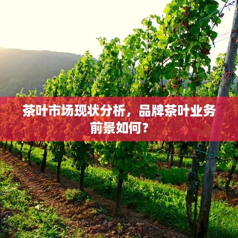 茶叶市场现状分析，品牌茶叶业务前景如何？