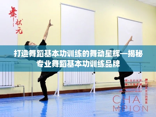 打造舞蹈基本功训练的舞动星辉—揭秘专业舞蹈基本功训练品牌