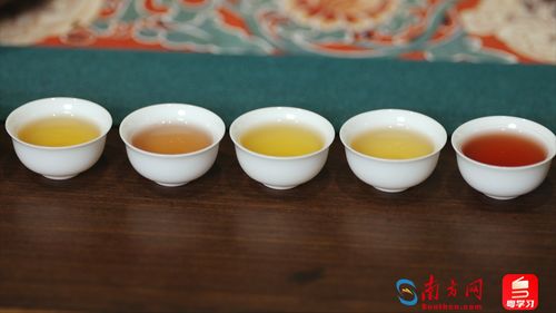 功夫茶中的茶香四溢—探寻知名功夫茶茶叶品牌