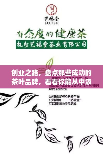 创业之路，盘点那些成功的茶叶品牌，看看你能从中汲取哪些经验！
