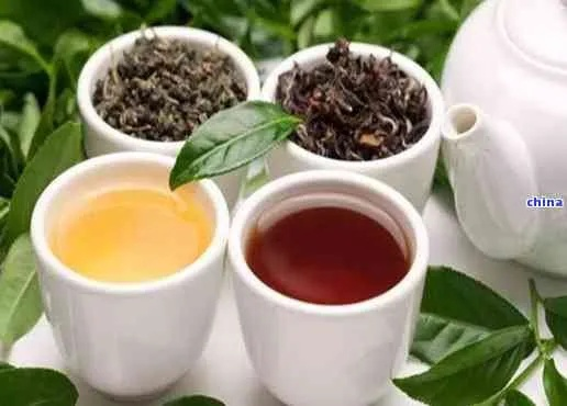 创业之路，盘点那些成功的茶叶品牌，看看你能从中汲取哪些经验！