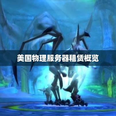 美国物理服务器租赁概览
