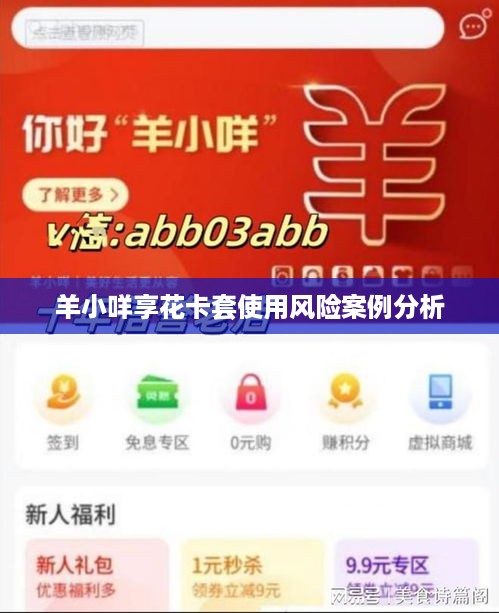 羊小咩享花卡套使用风险案例分析