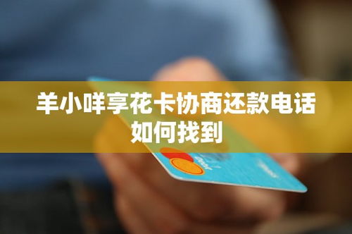 羊小咩享花卡套使用风险案例分析