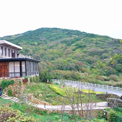 温岭主机服务器租赁市场概览
