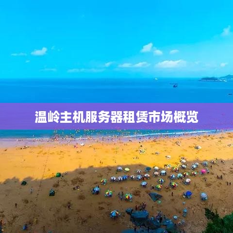 温岭主机服务器租赁市场概览