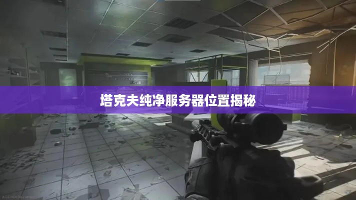 塔克夫纯净服务器位置揭秘