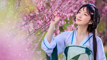 穿越千年，遇见最美的自己—探寻汉服的魅力之旅