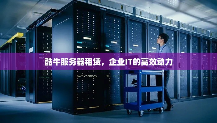 酷牛服务器租赁，企业IT的高效动力
