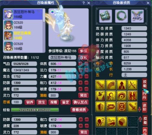 梦幻服战哪个服务器几个队伍？案例分析与比较