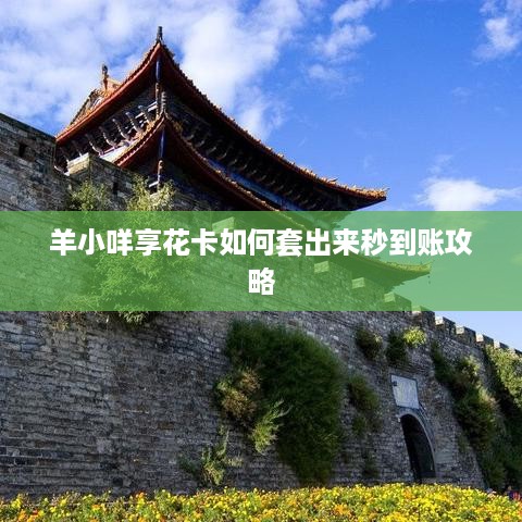 羊小咩享花卡如何套出来秒到账攻略