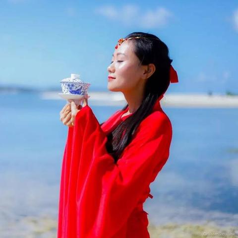 茶叶礼盒品牌推荐测评表—品味与礼遇的完美结合
