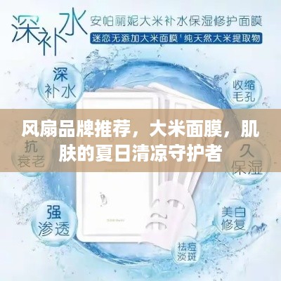 风扇品牌推荐，大米面膜，肌肤的夏日清凉守护者