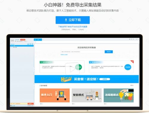 电脑如何轻松识别屏幕品牌—实用指南与案例分享