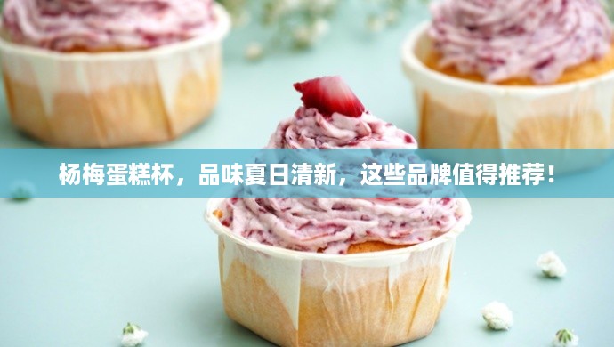 杨梅蛋糕杯，品味夏日清新，这些品牌值得推荐！