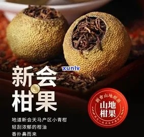 2023年度小青柑茶叶品牌排行榜揭晓，哪些品牌脱颖而出？