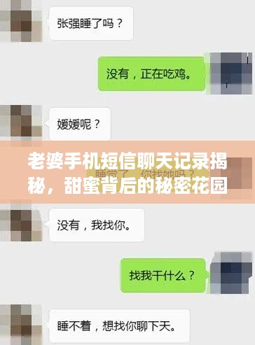 老婆手机短信聊天记录揭秘，甜蜜背后的秘密花园