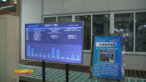 新沂服务器租赁平台的全面解析与应用案例
