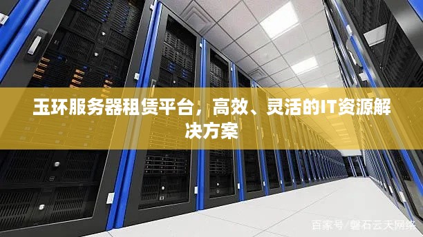 玉环服务器租赁平台，高效、灵活的IT资源解决方案
