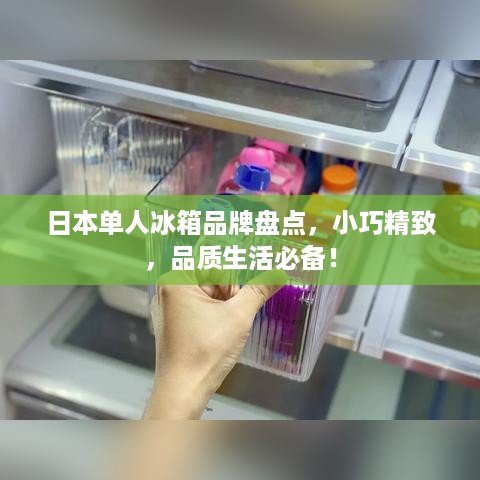 日本单人冰箱品牌盘点，小巧精致，品质生活必备！