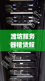 潍坊服务器租赁服务概览