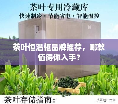 茶叶恒温柜品牌推荐，哪款值得你入手？