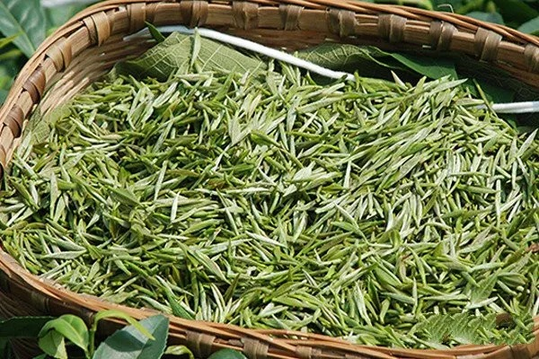 成都茶叶品牌大盘点，品味巴蜀茶香，探寻成都特色茶叶